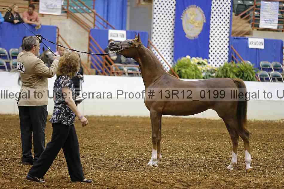 Proof 13r12_0199
