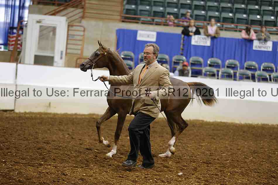 Proof 13r12_0201