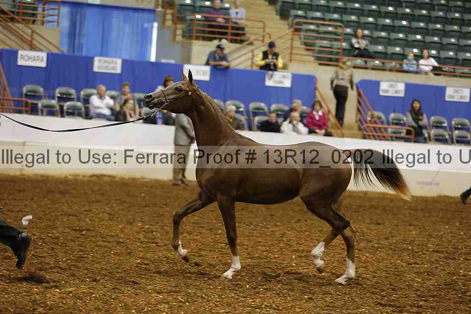 Proof 13r12_0202