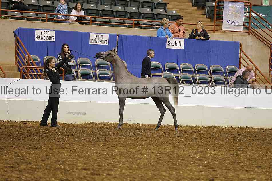 Proof 13r12_0203