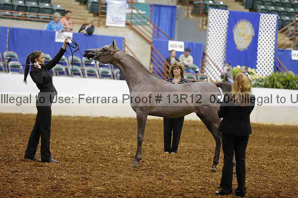 Proof 13r12_0204
