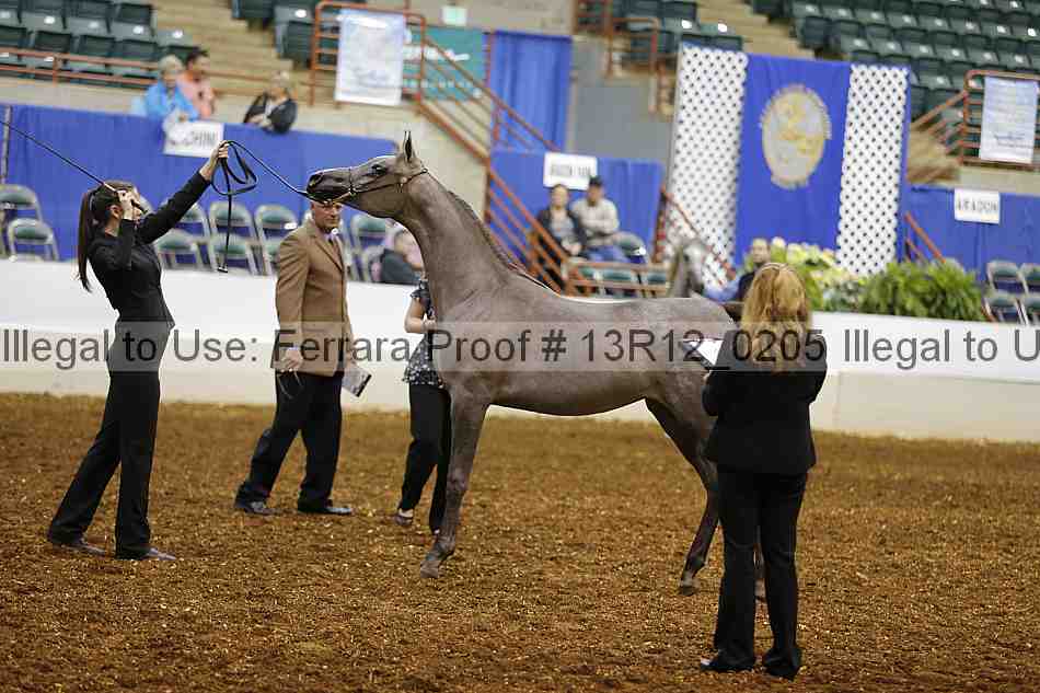 Proof 13r12_0205