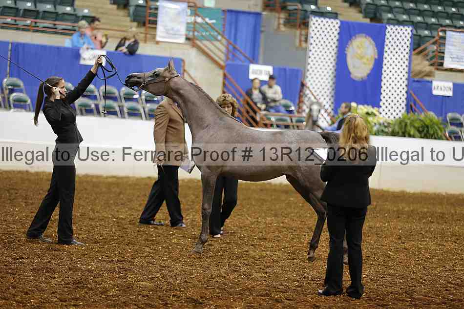 Proof 13r12_0206