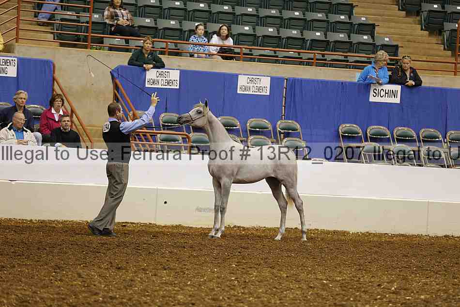Proof 13r12_0207