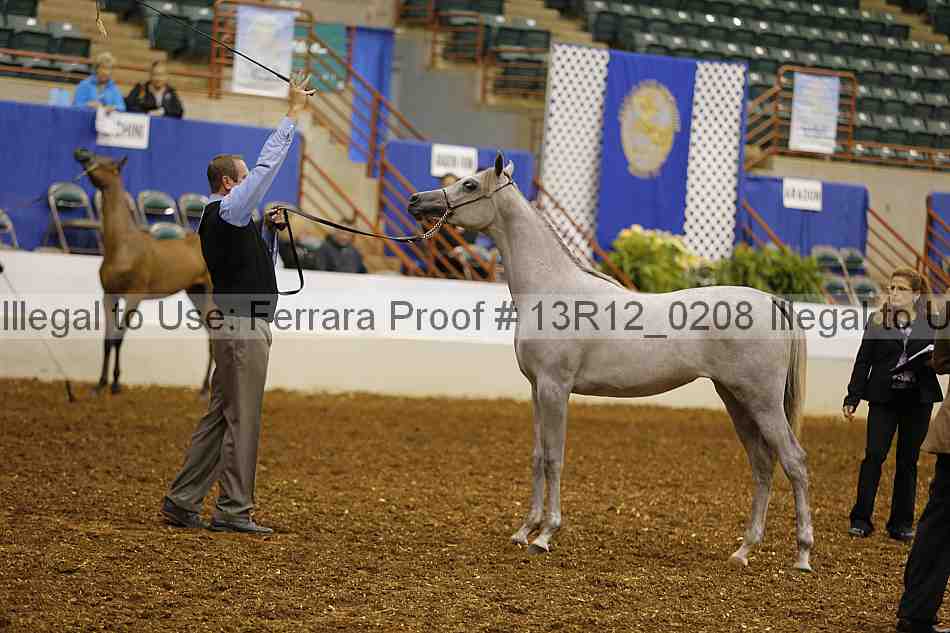 Proof 13r12_0208