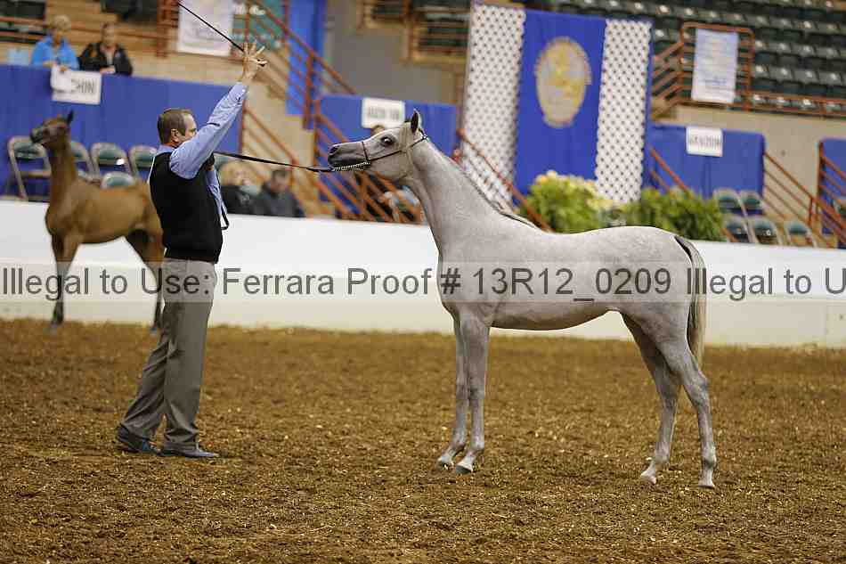 Proof 13r12_0209