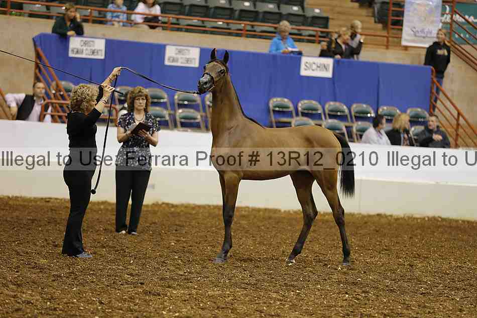 Proof 13r12_0210