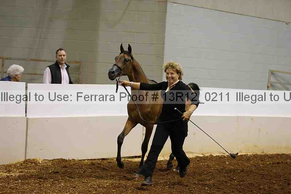 Proof 13r12_0211