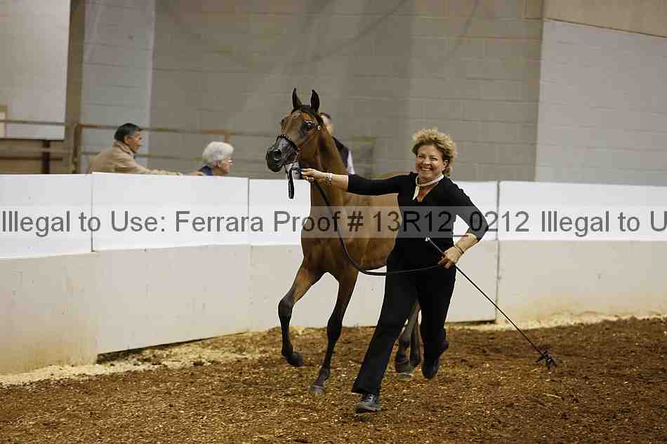 Proof 13r12_0212