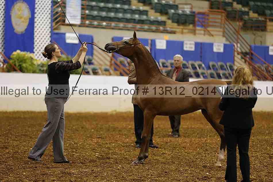 Proof 13r12_0214