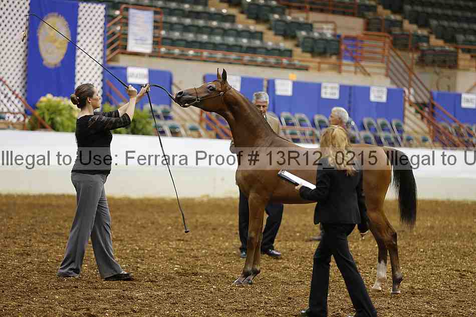 Proof 13r12_0215