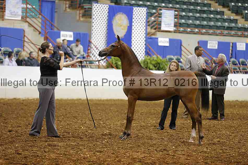 Proof 13r12_0216