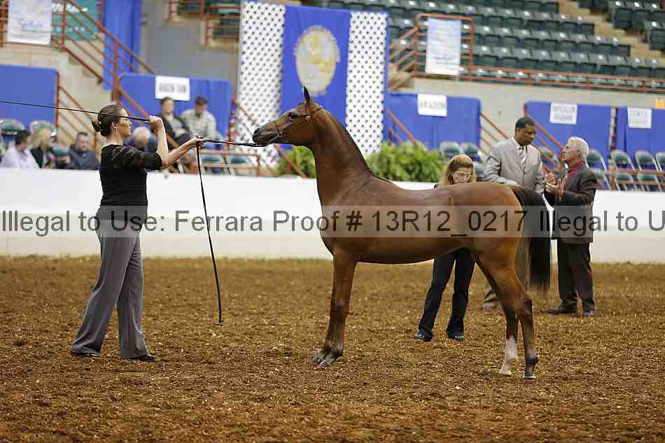 Proof 13r12_0217