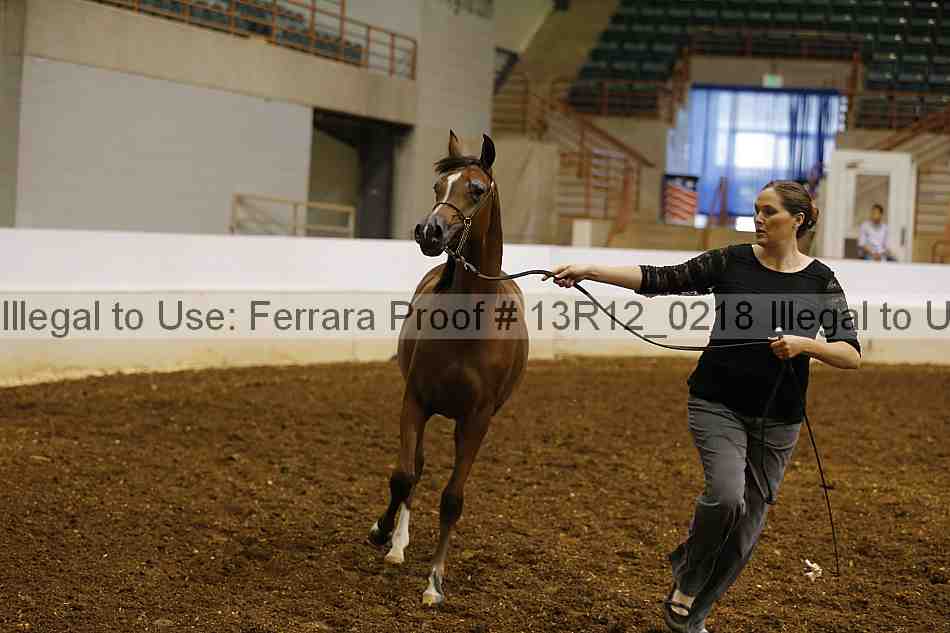 Proof 13r12_0218