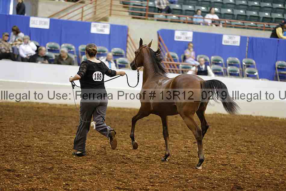 Proof 13r12_0219