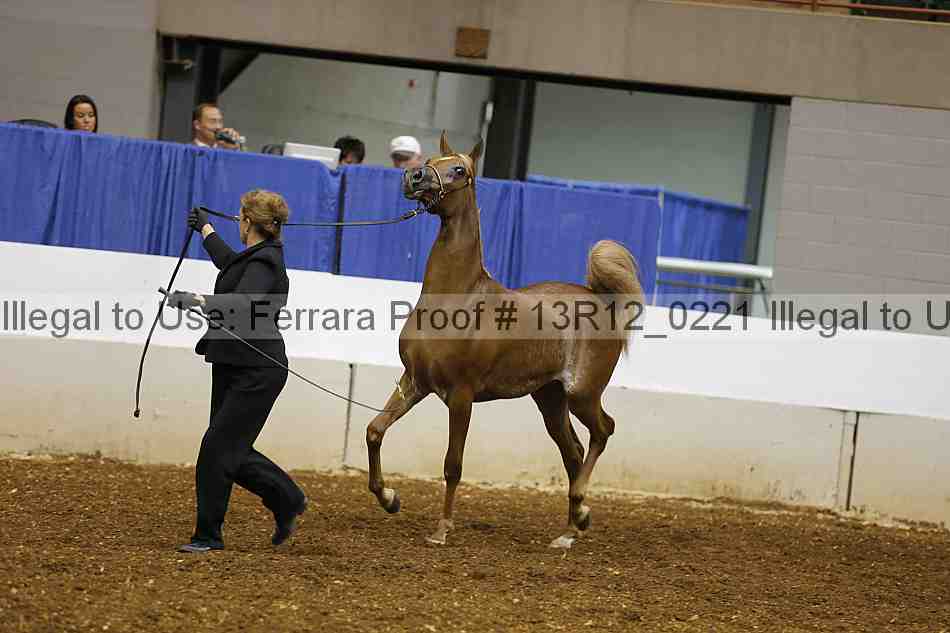 Proof 13r12_0221