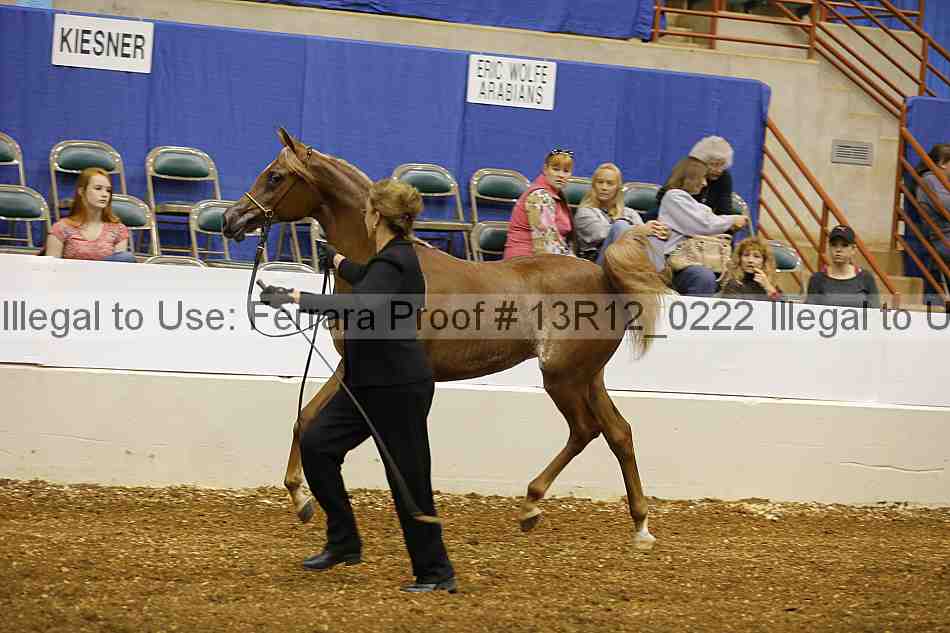 Proof 13r12_0222