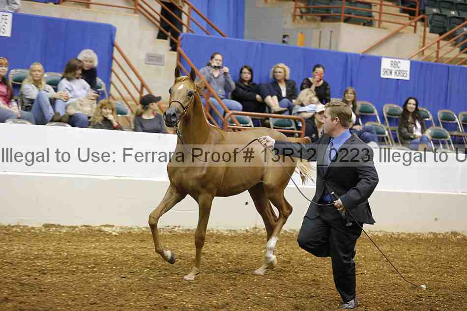 Proof 13r12_0223