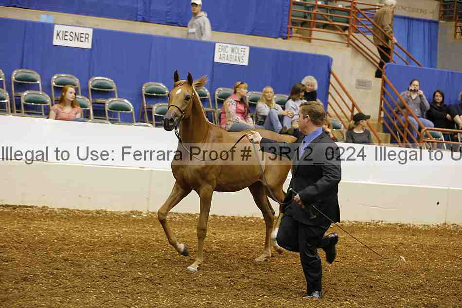 Proof 13r12_0224