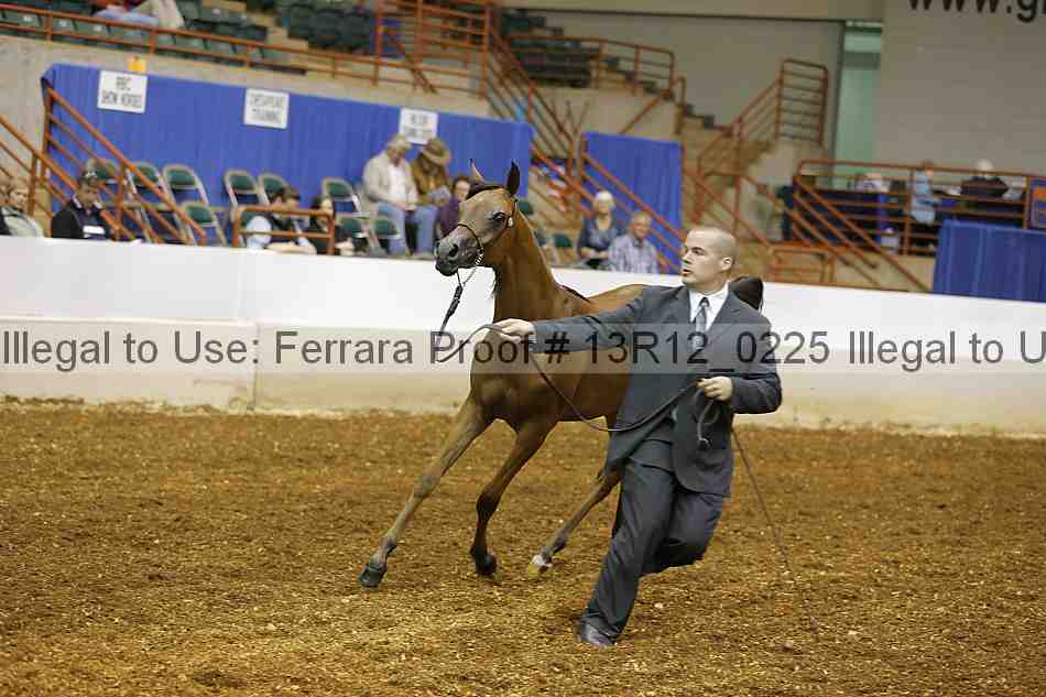 Proof 13r12_0225