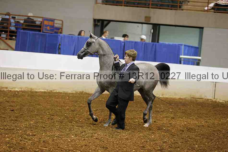 Proof 13r12_0227