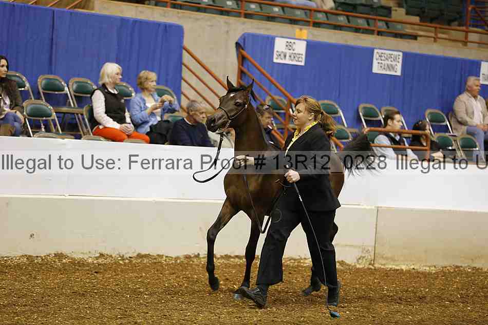 Proof 13r12_0228