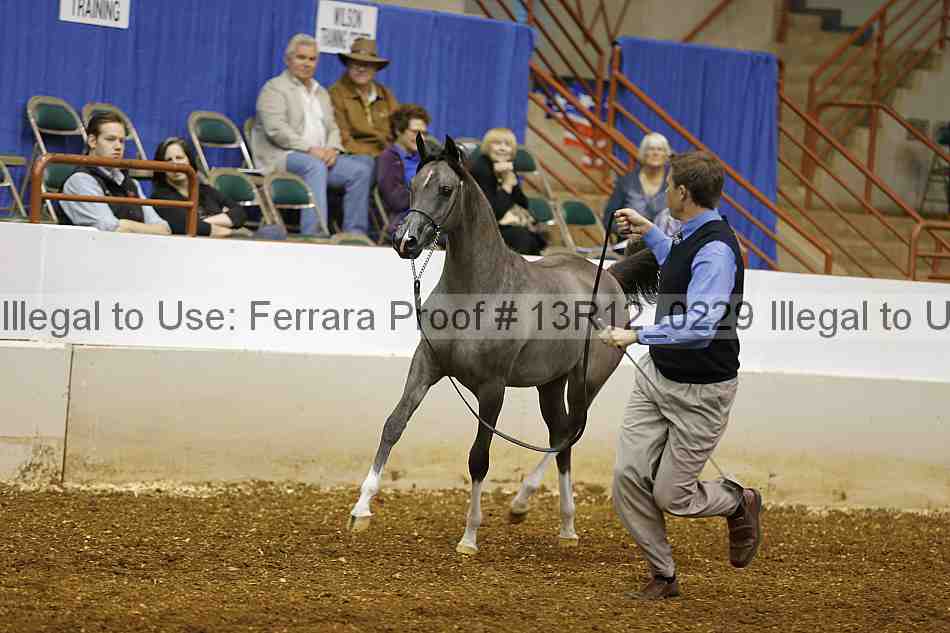 Proof 13r12_0229