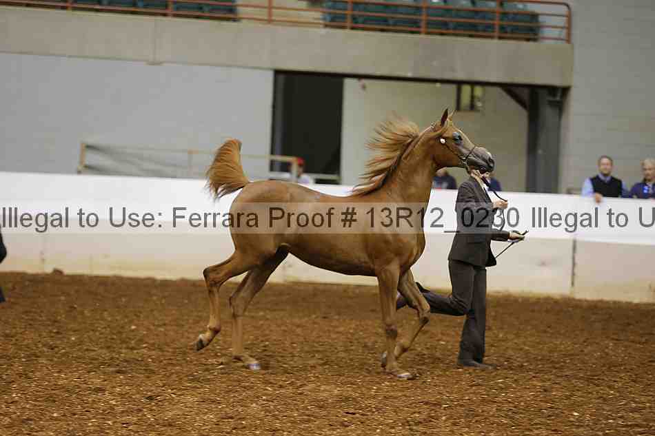 Proof 13r12_0230