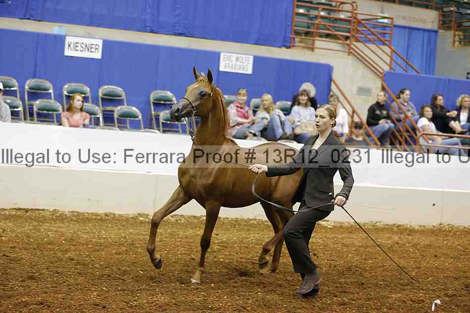 Proof 13r12_0231