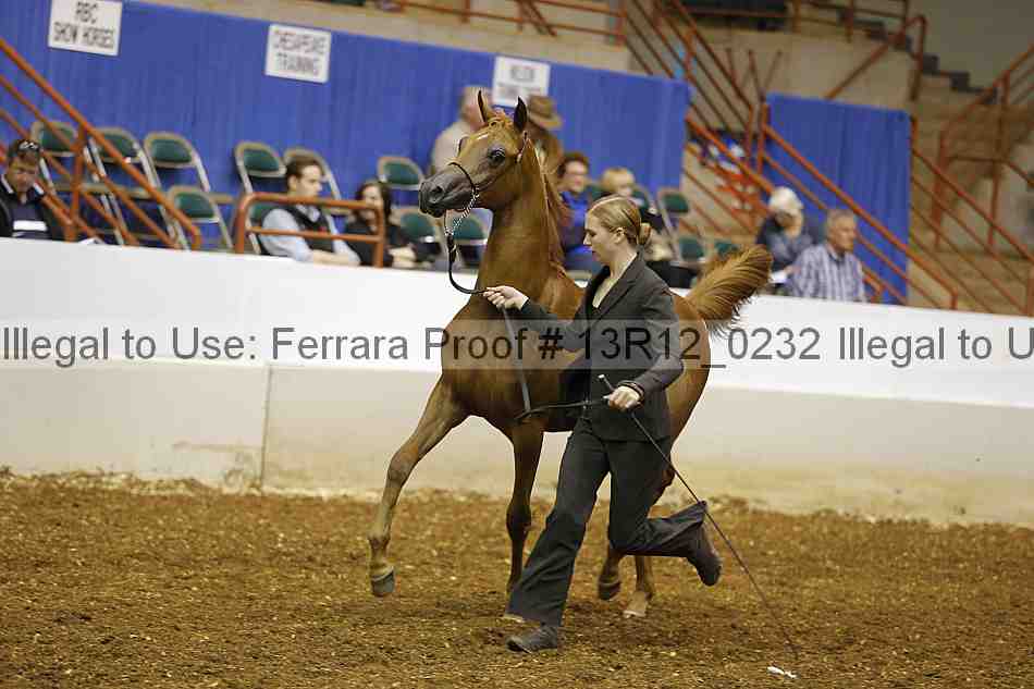 Proof 13r12_0232