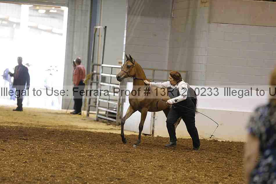 Proof 13r12_0233