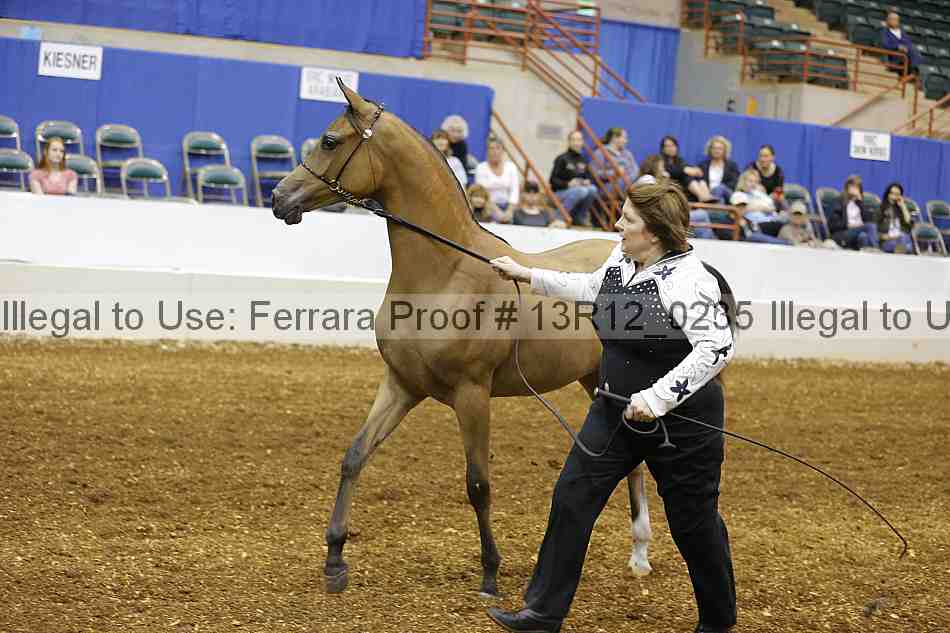 Proof 13r12_0235