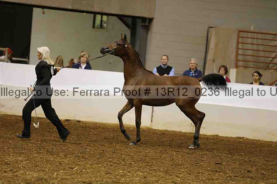 Proof 13r12_0236