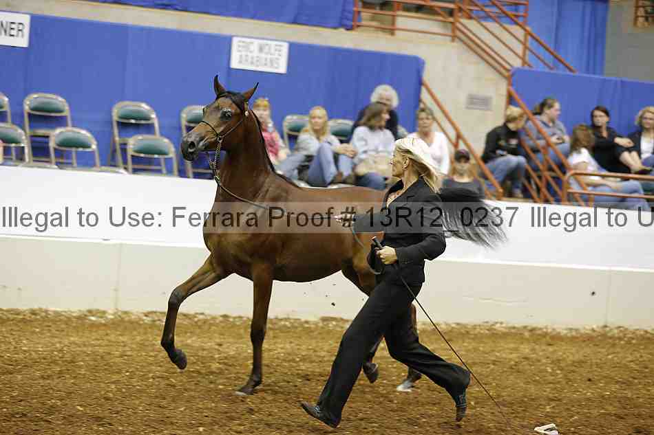 Proof 13r12_0237