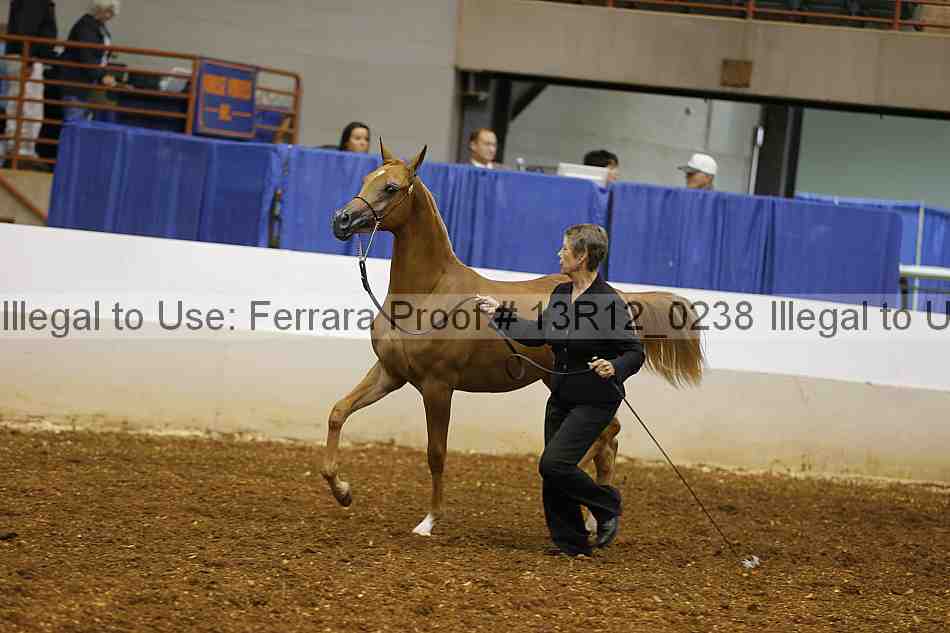 Proof 13r12_0238