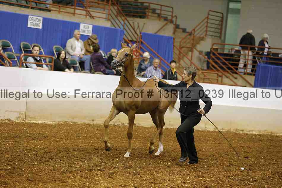 Proof 13r12_0239