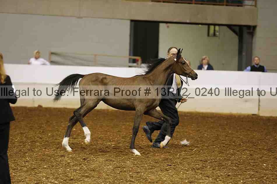 Proof 13r12_0240