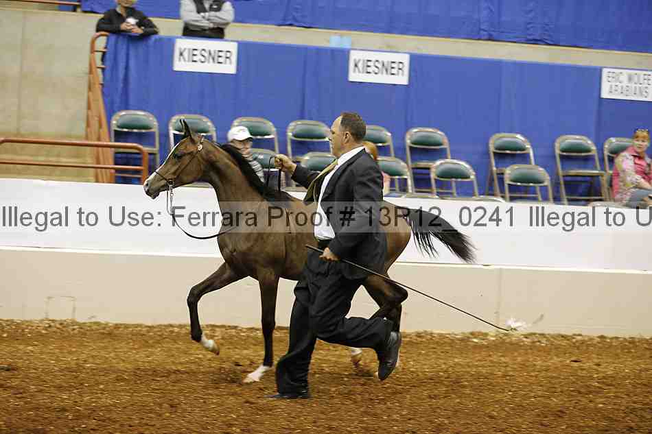 Proof 13r12_0241