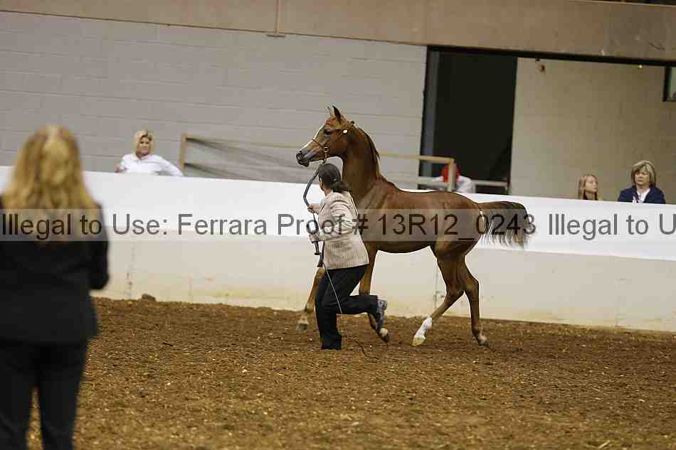 Proof 13r12_0243