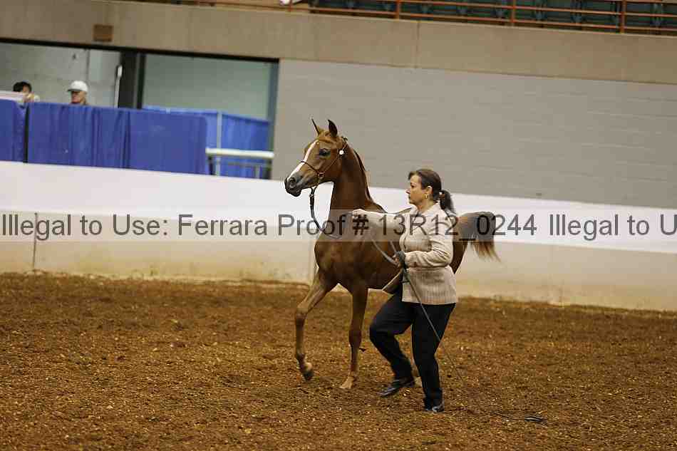 Proof 13r12_0244
