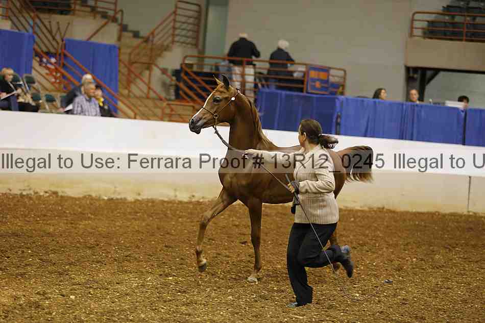 Proof 13r12_0245