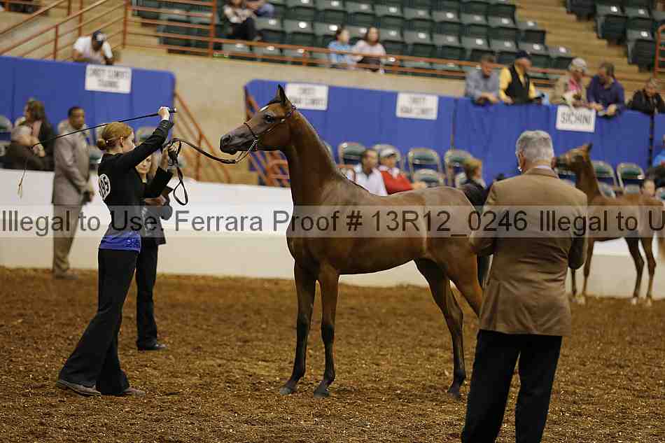 Proof 13r12_0246