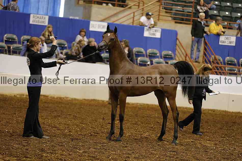 Proof 13r12_0247