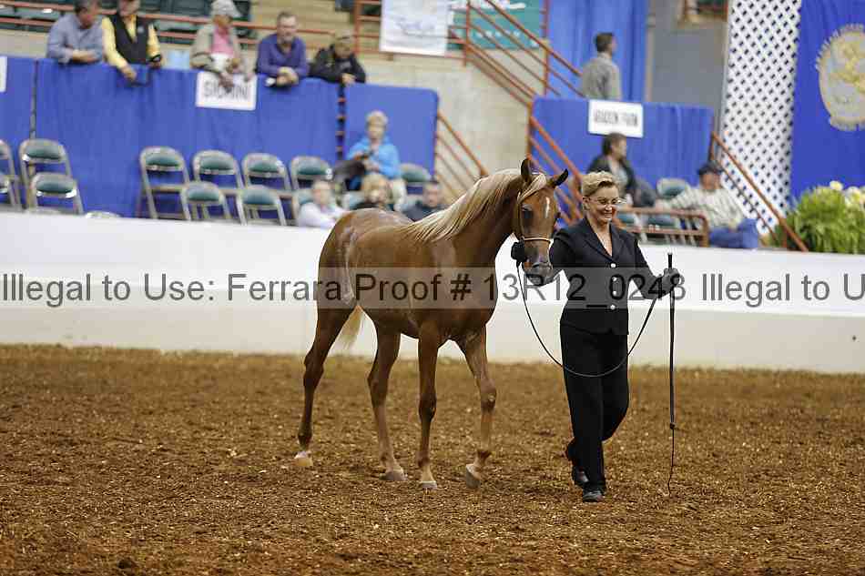 Proof 13r12_0248