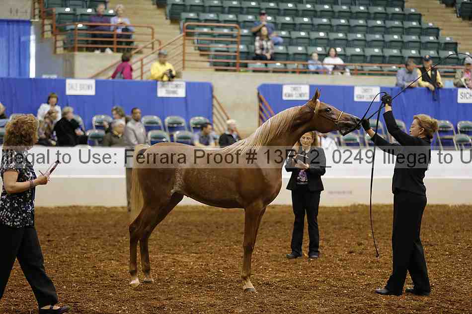 Proof 13r12_0249
