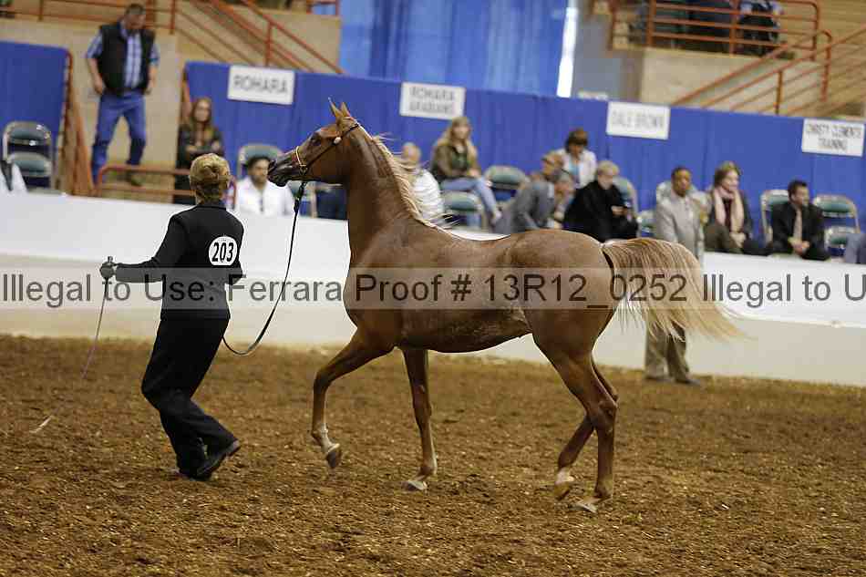 Proof 13r12_0252