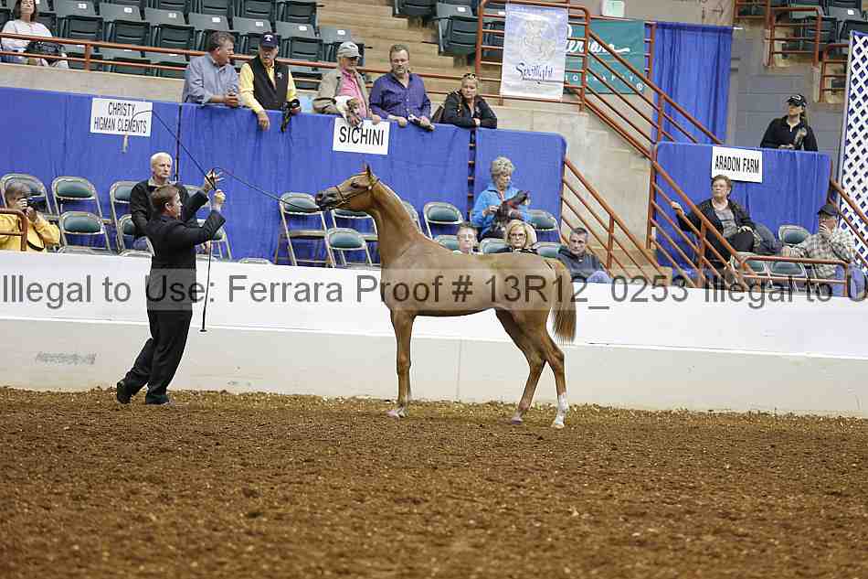 Proof 13r12_0253