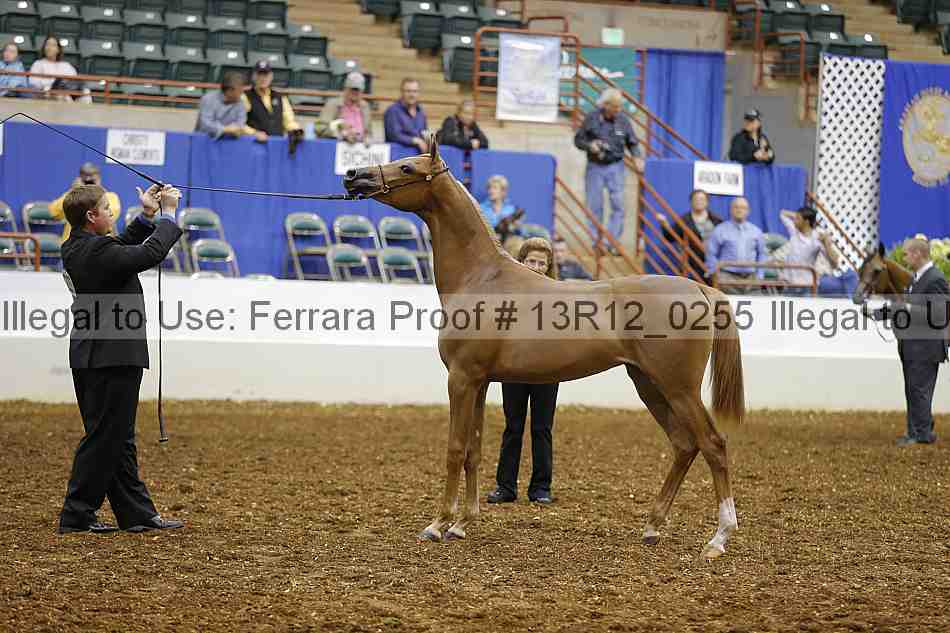 Proof 13r12_0255
