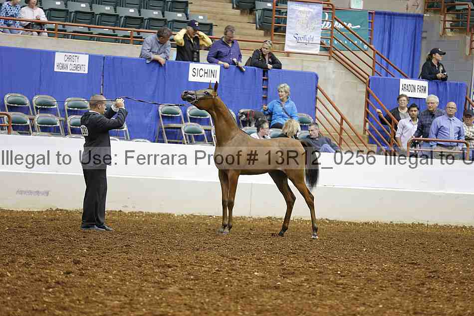 Proof 13r12_0256