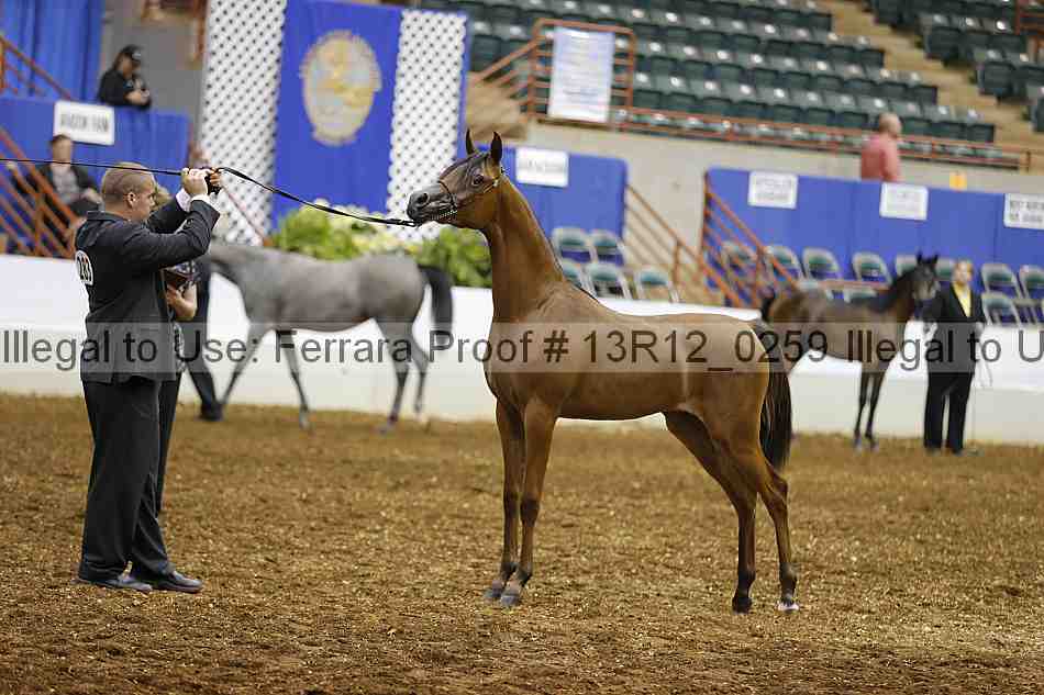 Proof 13r12_0259